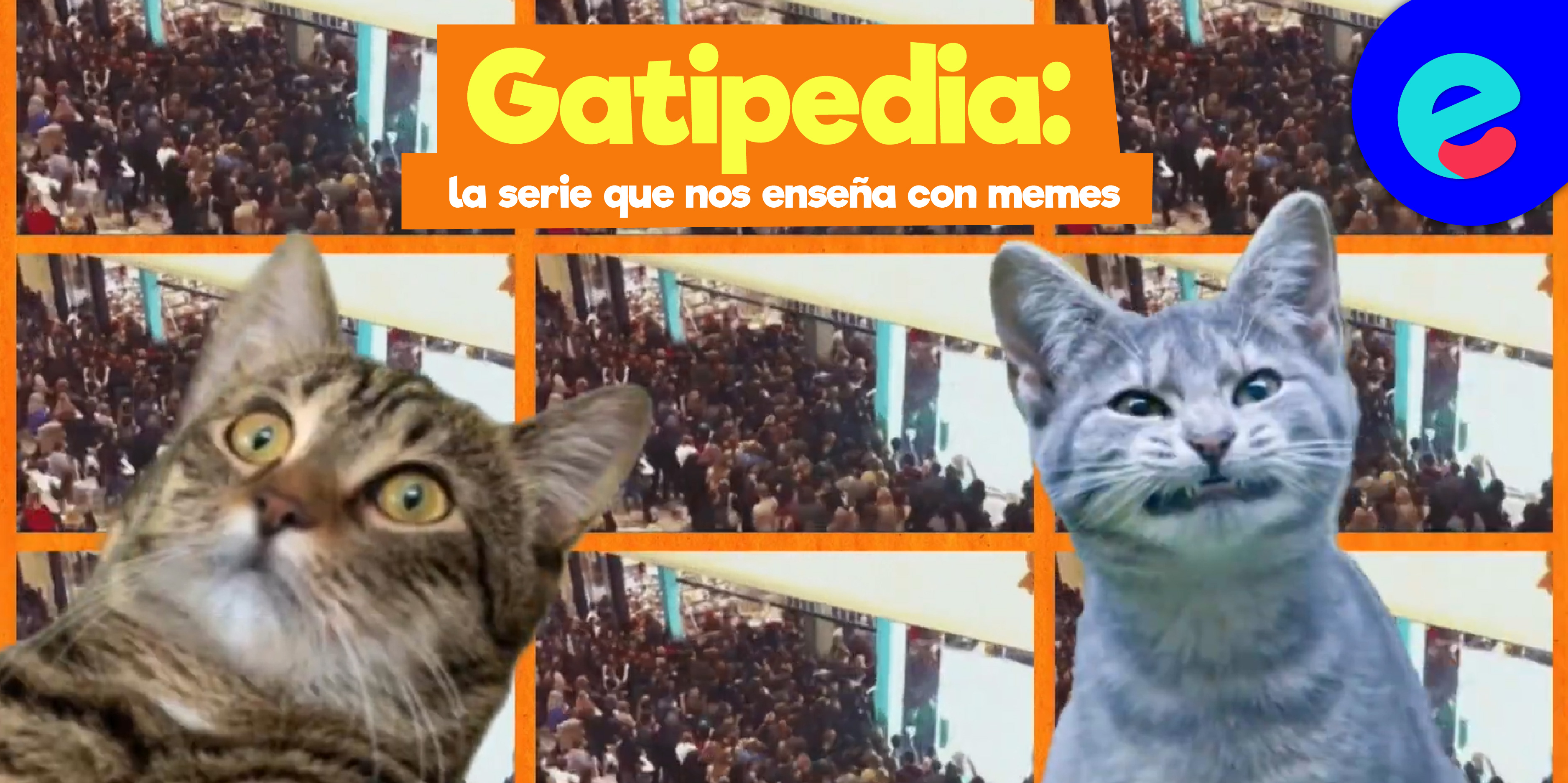 Gatipedia