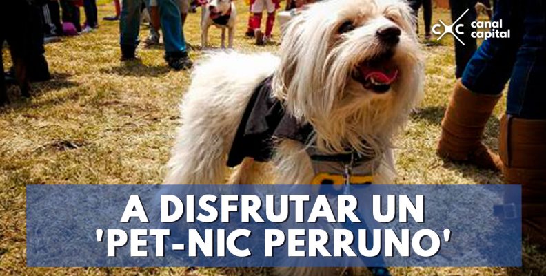 A-DISFRUTAR-UN-'PET-NIC-PERRUNO'- A-DISFRUTAR-UN-'PET-NIC-PERRUNO'-