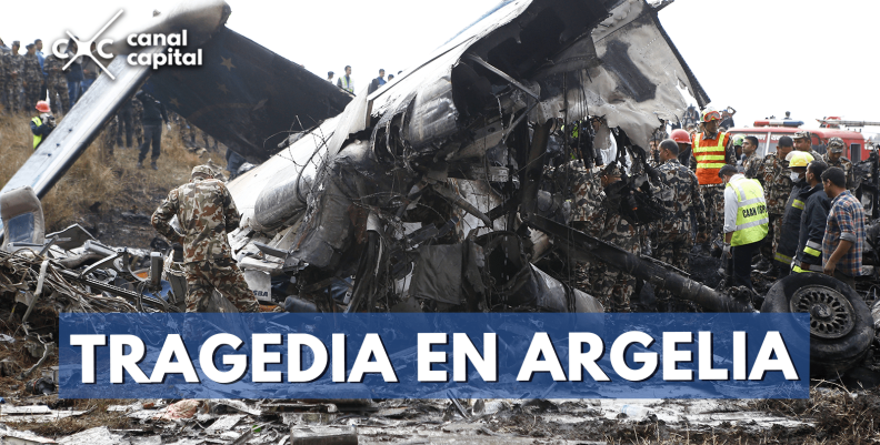 argelia-min argelia-min