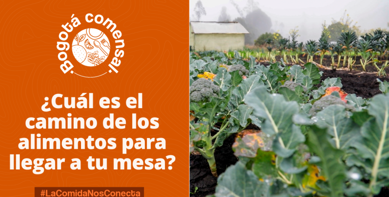 Bogotá Distribuye (13)
