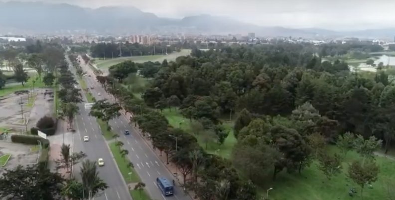 Bosques urbanos_ Bosques urbanos_