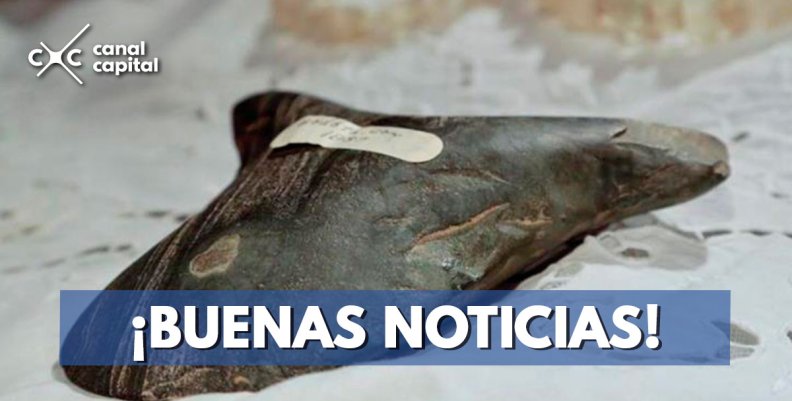 Estados Unidos repatrió a Colombia 40 piezas arqueológicas