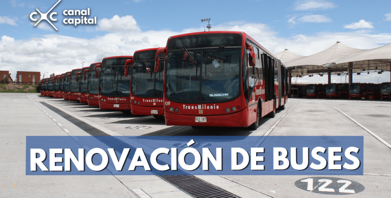 buses-min buses-min