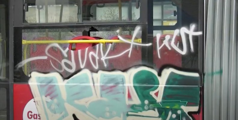 Buses_ Buses_