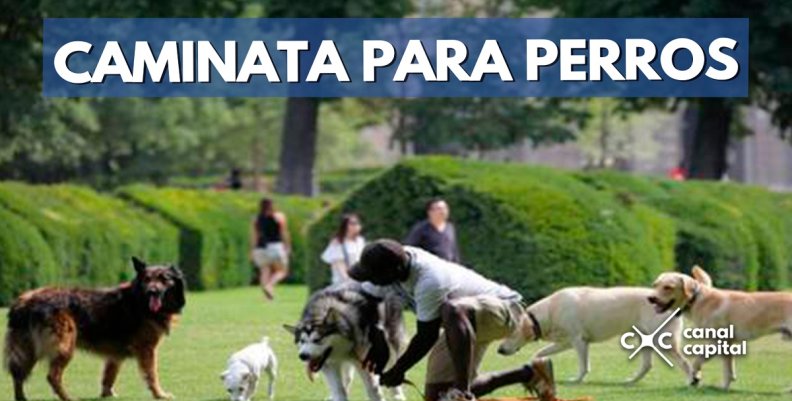 CAMINATA-PERROS CAMINATA-PERROS
