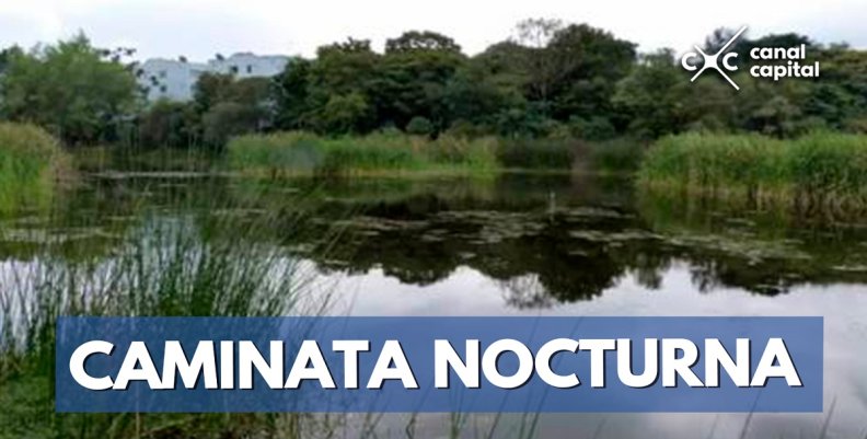 caminata caminata