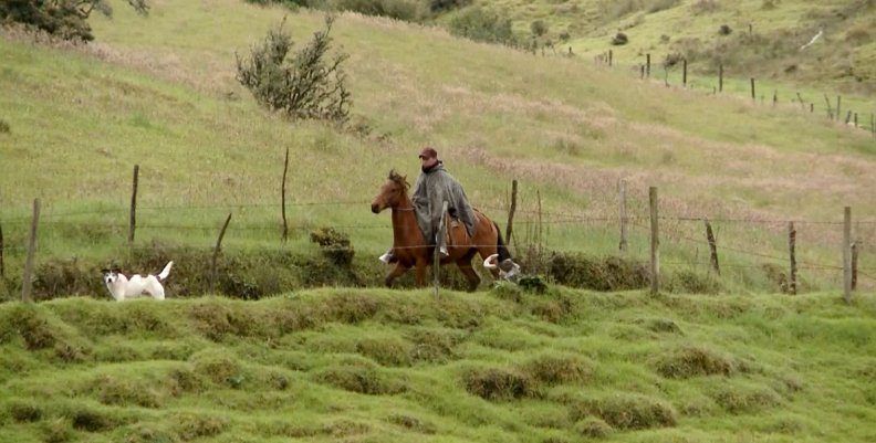 Campesino Campesino