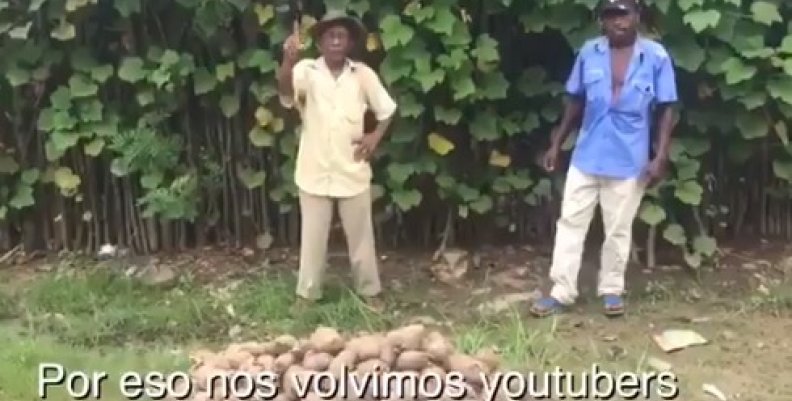 Campesinos (1) Campesinos (1)