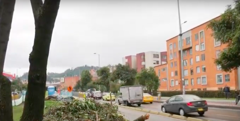 Tala de árboles Suba Tala de árboles Suba