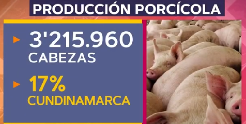 Producción de carne de cerdo. Producción de carne de cerdo.