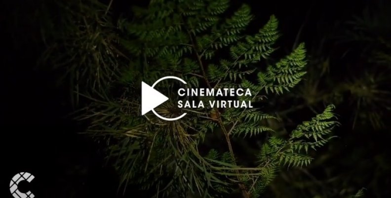 Cinemateca Cinemateca