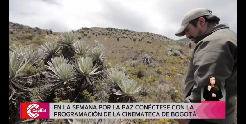 CinematecA CinematecA