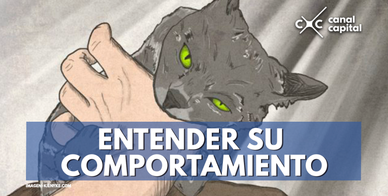 comportamiento comportamiento