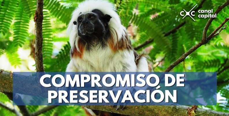 COMPROMISO-DE-PRESERVACIÓN COMPROMISO-DE-PRESERVACIÓN