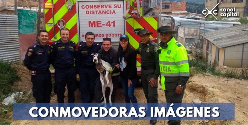 CONMOVEDORAS-IMÁGENES CONMOVEDORAS-IMÁGENES