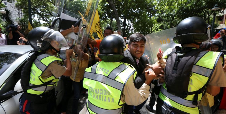 Conrado Perez, deputy of the Venezuelan coalition of opposition parties (MUD), carries a chicken while clashing with riot police during a protest outside the offices of the Venezuela's ombudsman in Caracas Conrado Perez, deputy of the Venezuelan coalition of opposition parties (MUD), carries a chicken while clashing with riot police during a protest outside the offices of the Venezuela's ombudsman in Caracas