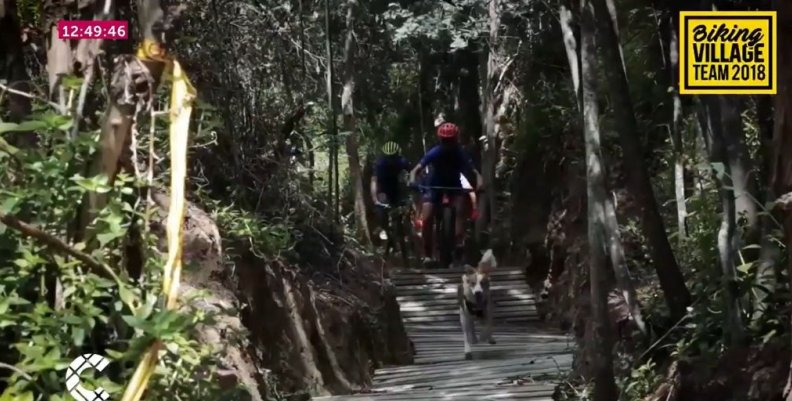 Youtuber del ciclomontañismo Youtuber del ciclomontañismo