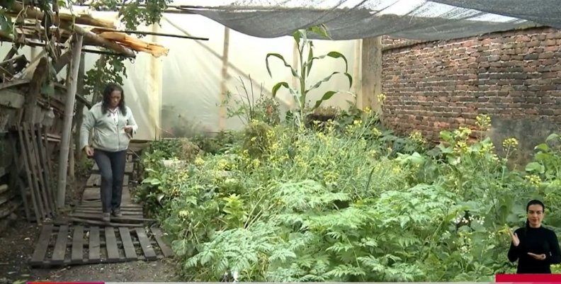 Rosa Poveda en su granja comunitaria