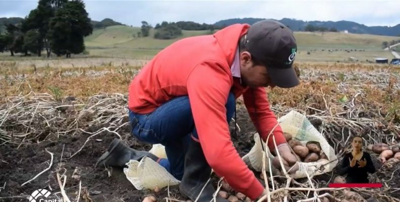 Sena y FAO fortalecen actividades pedagógicas Sena y FAO fortalecen actividades pedagógicas