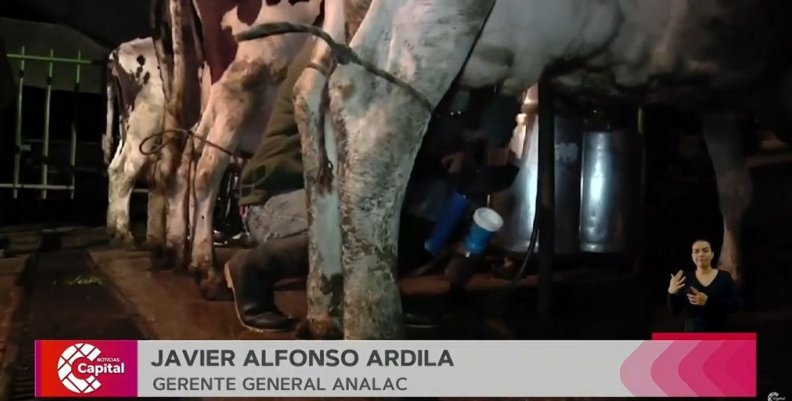 Lecheros en crisis por pandemia Lecheros en crisis por pandemia