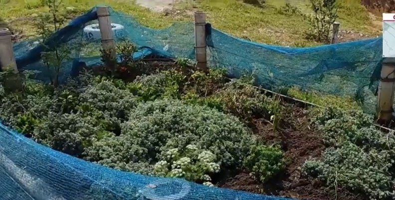 Recuperación del espacio público en Ciudad Bolívar Recuperación del espacio público en Ciudad Bolívar