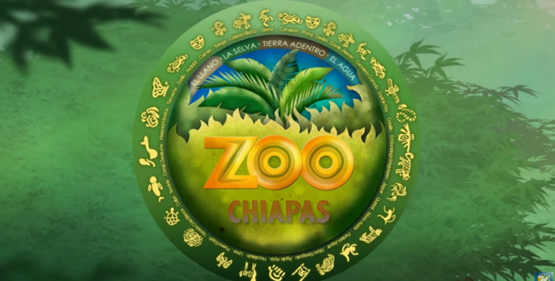 Zoo Chiapas Zoo Chiapas