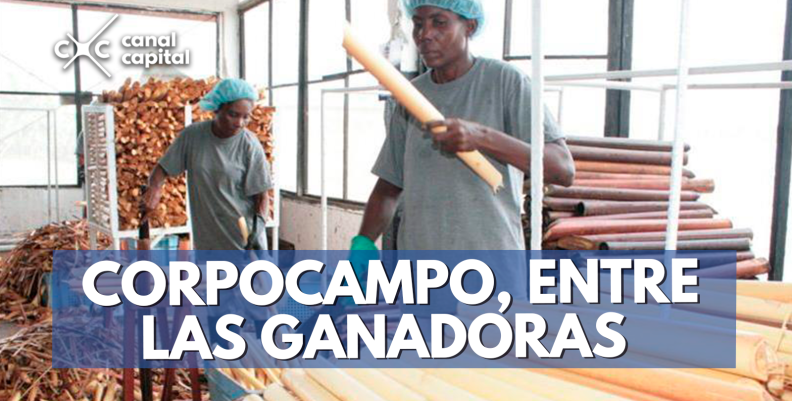 Foto de: Corpocampo Foto de: Corpocampo
