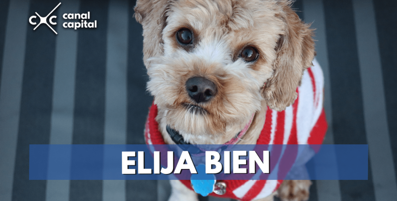 elija-bien-min elija-bien-min