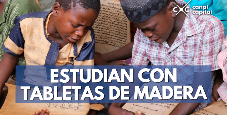 estudian-min estudian-min