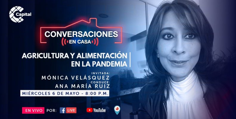 Conversaciones en Casa con Mónica Velázquez Conversaciones en Casa con Mónica Velázquez