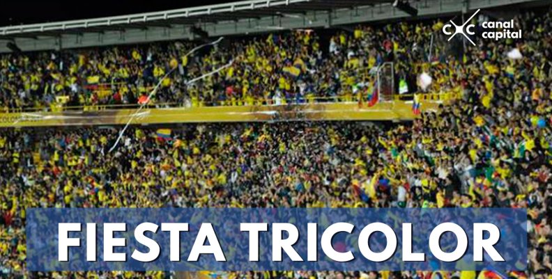 FIESTA-TRICOLOR- FIESTA-TRICOLOR-