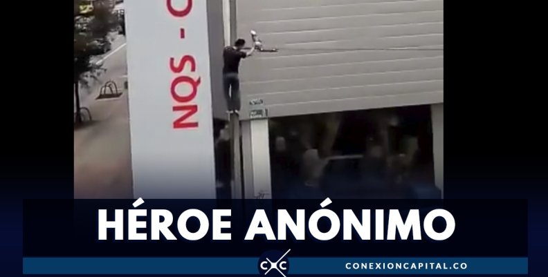 ¡Bravo! Hombre ayudó a paloma que estaba enredada en cables de energía