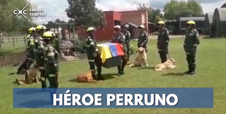 Policía rinde homenaje a perro rescatista Policía rinde homenaje a perro rescatista