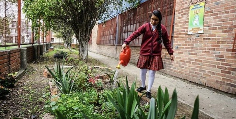 huerta escolar