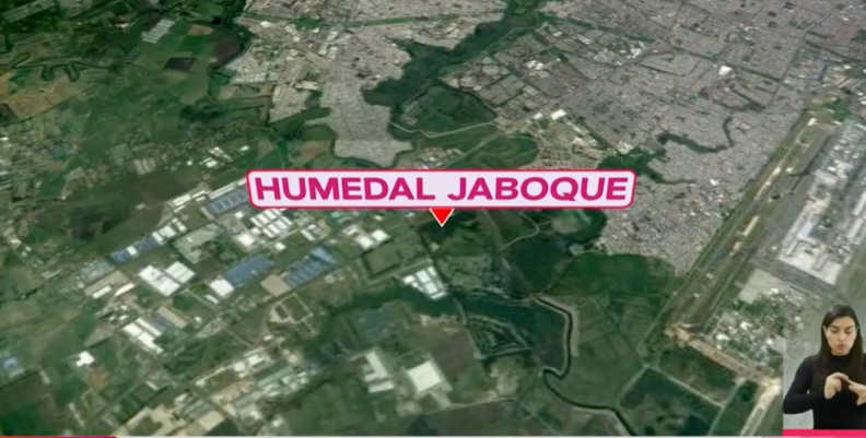 humedal humedal