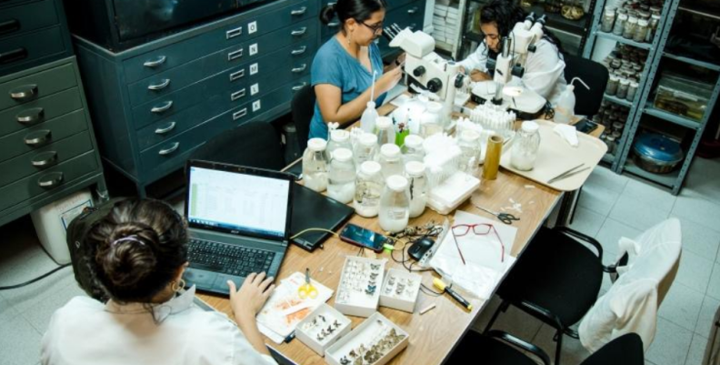 Recursos en ciencia y tecnología para Instituciones de Educación Superior Públicas. Recursos en ciencia y tecnología para Instituciones de Educación Superior Públicas.