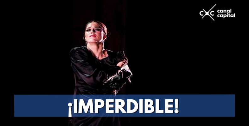 Disfrute del Festival Flamenco 2018