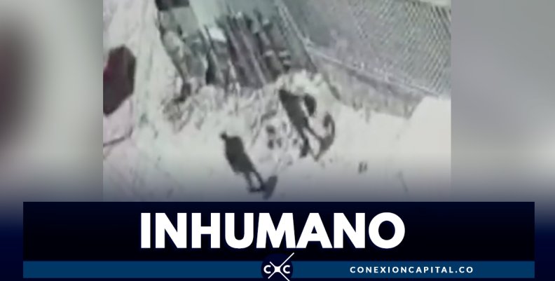 EN VIDEO: pareja tira a basurero el cuerpo sin vida de un bebé en el sur de Bogotá EN VIDEO: pareja tira a basurero el cuerpo sin vida de un bebé en el sur de Bogotá