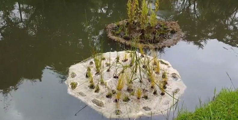 JARDIN JARDIN