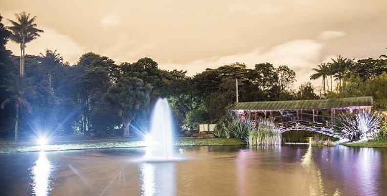 jardin_botanico_0 jardin_botanico_0