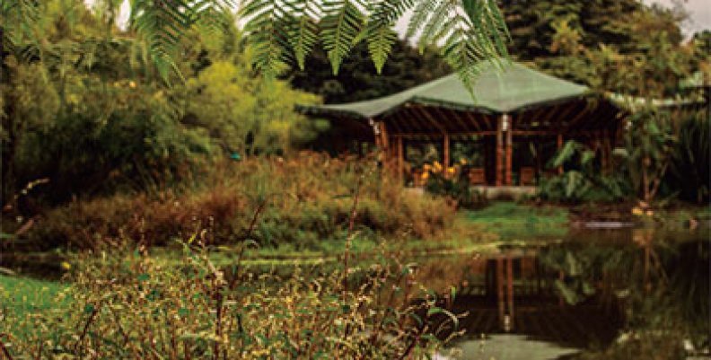 jardin_humedal jardin_humedal