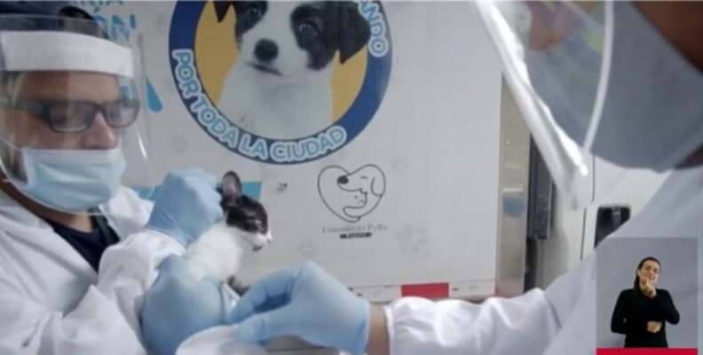 Jornadas de esterilización Jornadas de esterilización