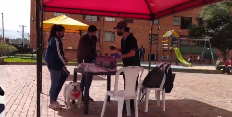 chips animales. chips animales.