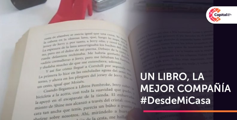 LIBRO LIBRO