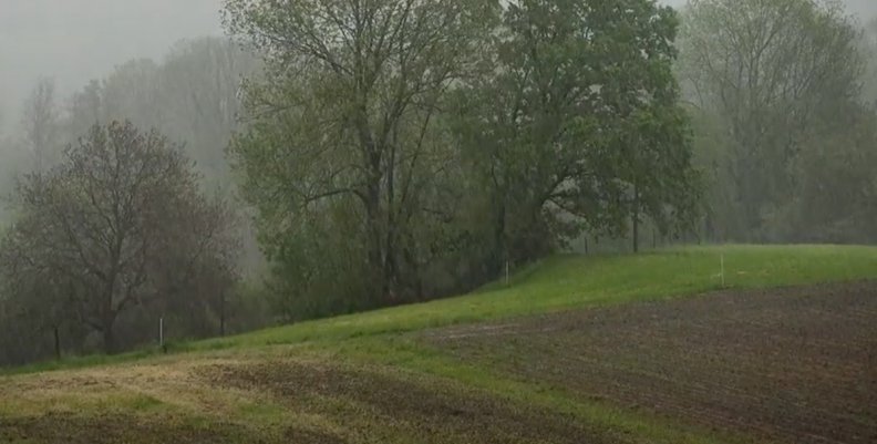 Lluvias Lluvias