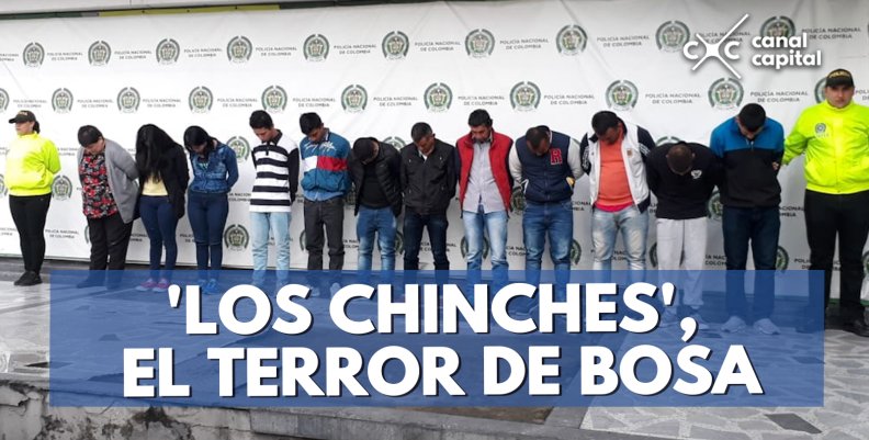los-chinches los-chinches