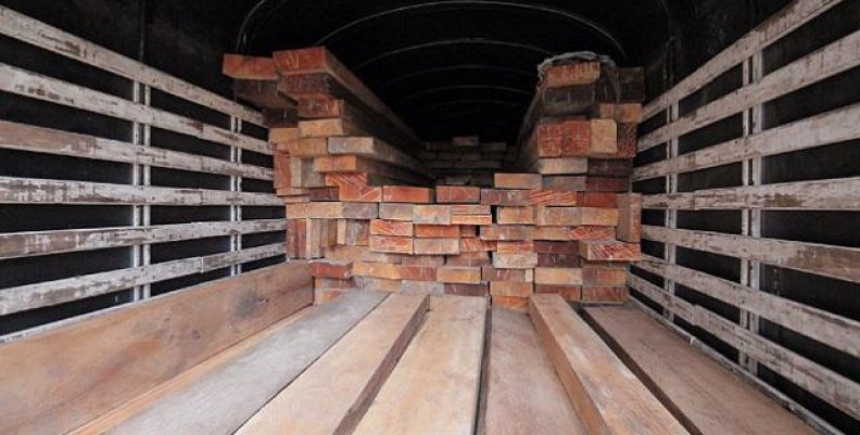 madera madera
