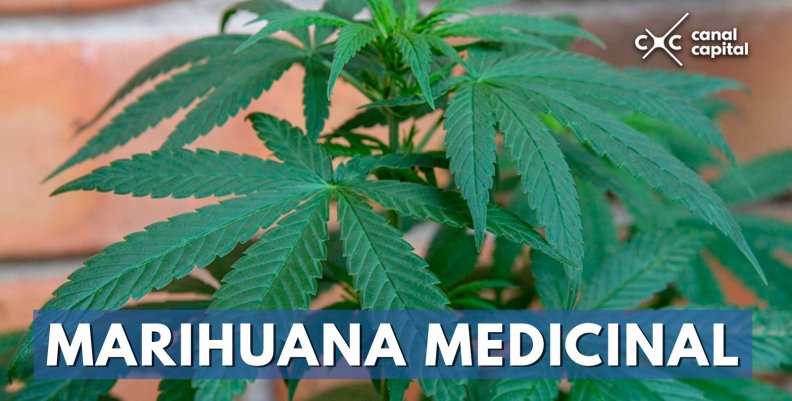MARIHUANA-MEDICINAL MARIHUANA-MEDICINAL