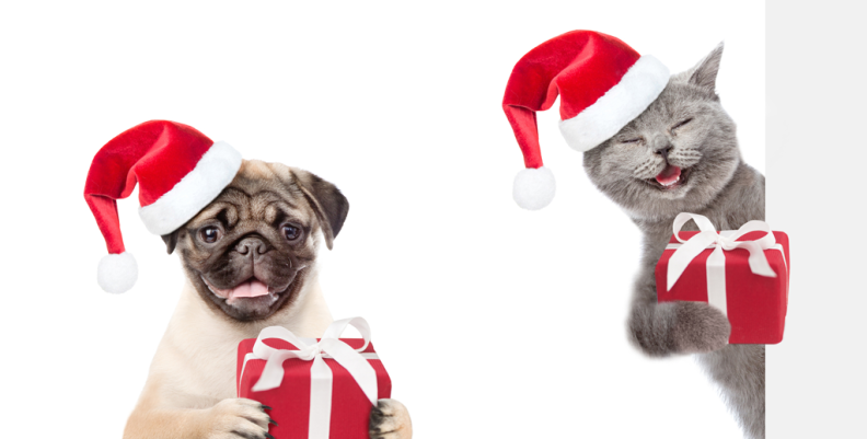 mascotas-navidad mascotas-navidad