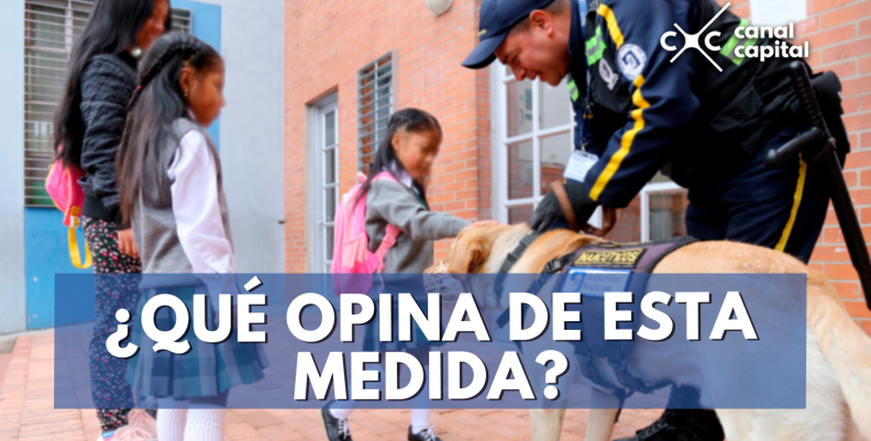 seguridad colegios públicos seguridad colegios públicos
